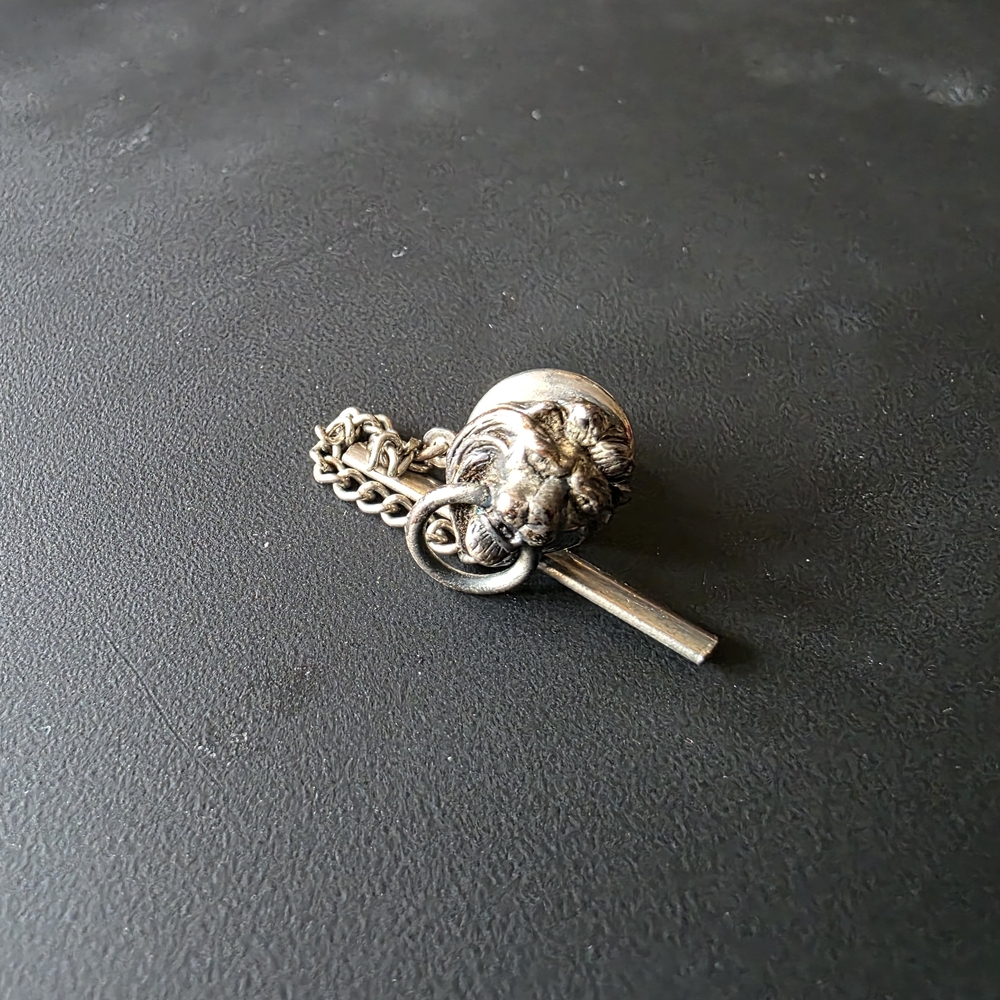 Vintage Elegant Silver Pin